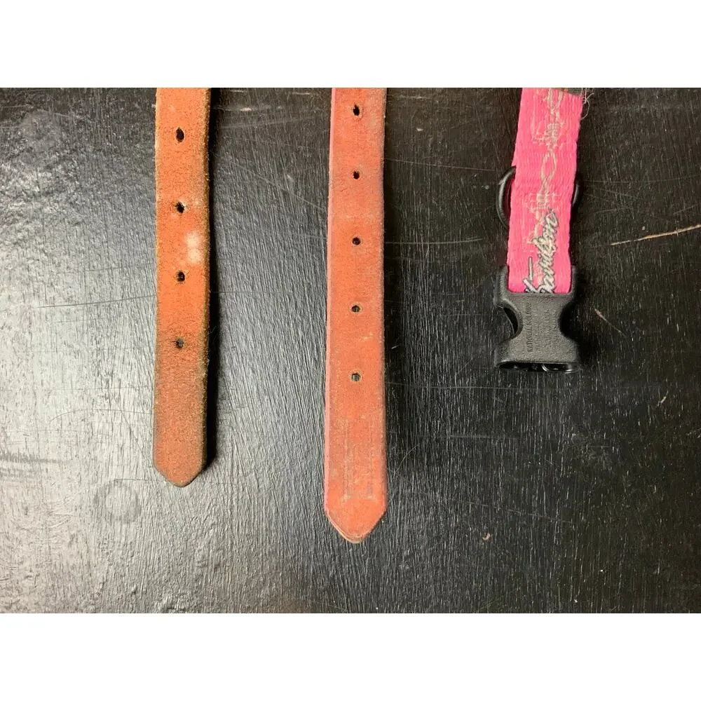 Lot Harley-Davidson Dog Collars Pink Orange Leather Nylon Small Medium Pet